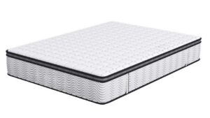 Queen Dual Latex Mattress