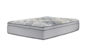 Queen Rest Plush Mattress
